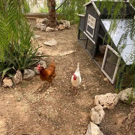 Tu Pequeno Paraiso Сasa de vacaciones *