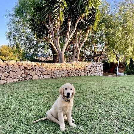 Holiday home Tu Pequeno Paraiso