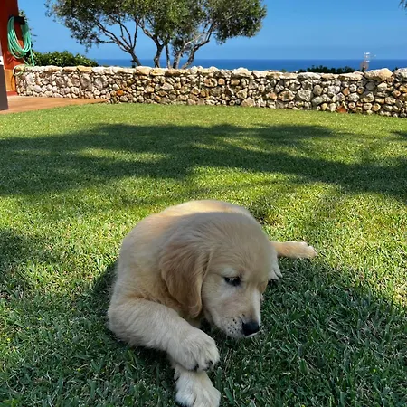 Holiday home Tu Pequeno Paraiso